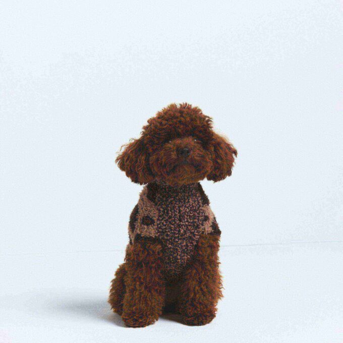 COZY KNIT PET SWEATER