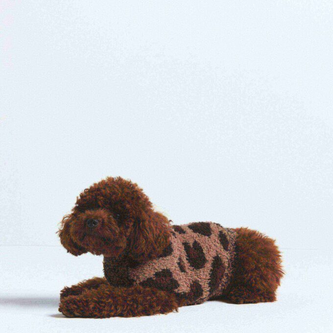 COZY KNIT PET SWEATER