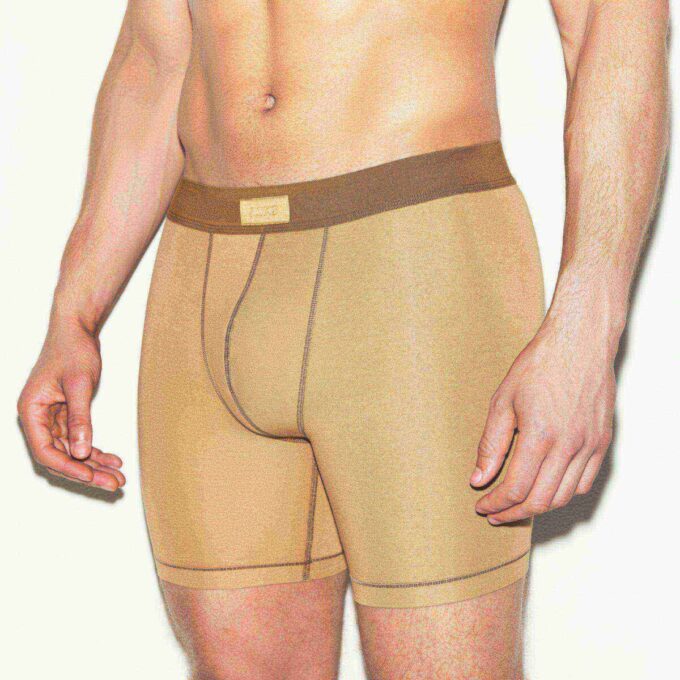 SKIMS COTTON MENS 5″ BOXER BRIEF 3-PACK